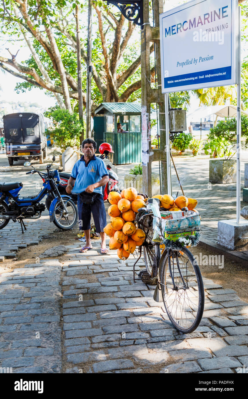 Local lifestyle: Bicycle loaded with yellow king coconuts for sale on the roadside in historic Galle Fort, Galle, Southern Province, Sri Lanka Stock Photo