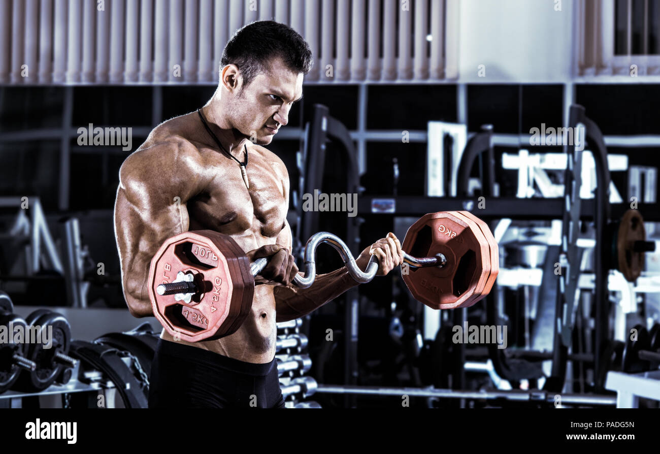 guy bodybuilder , execute exercise with weight in gym, horizontal photo ...