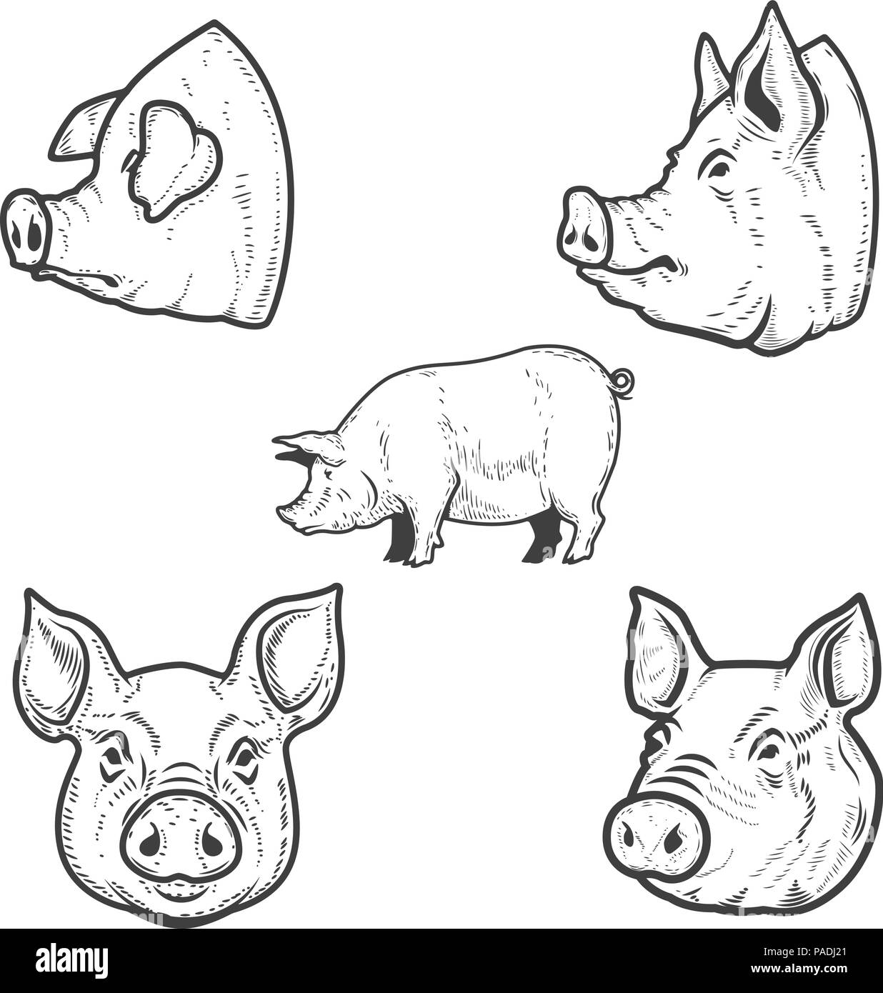 Pig Head Clip Art Black And White