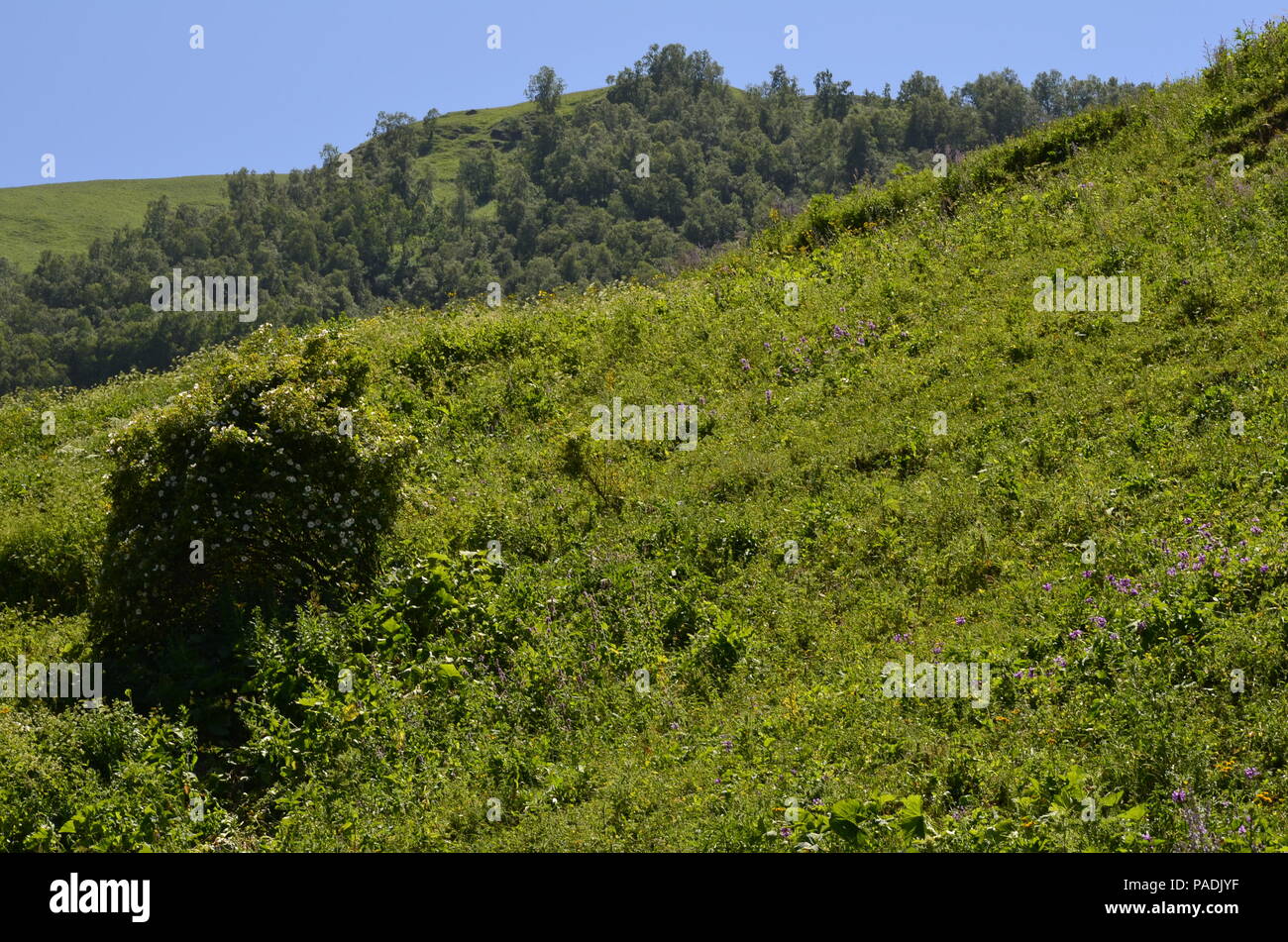 Mountains of the Greater Caucasus in Ilisu natural reserve, North-western Azerbaijan Stock Photo