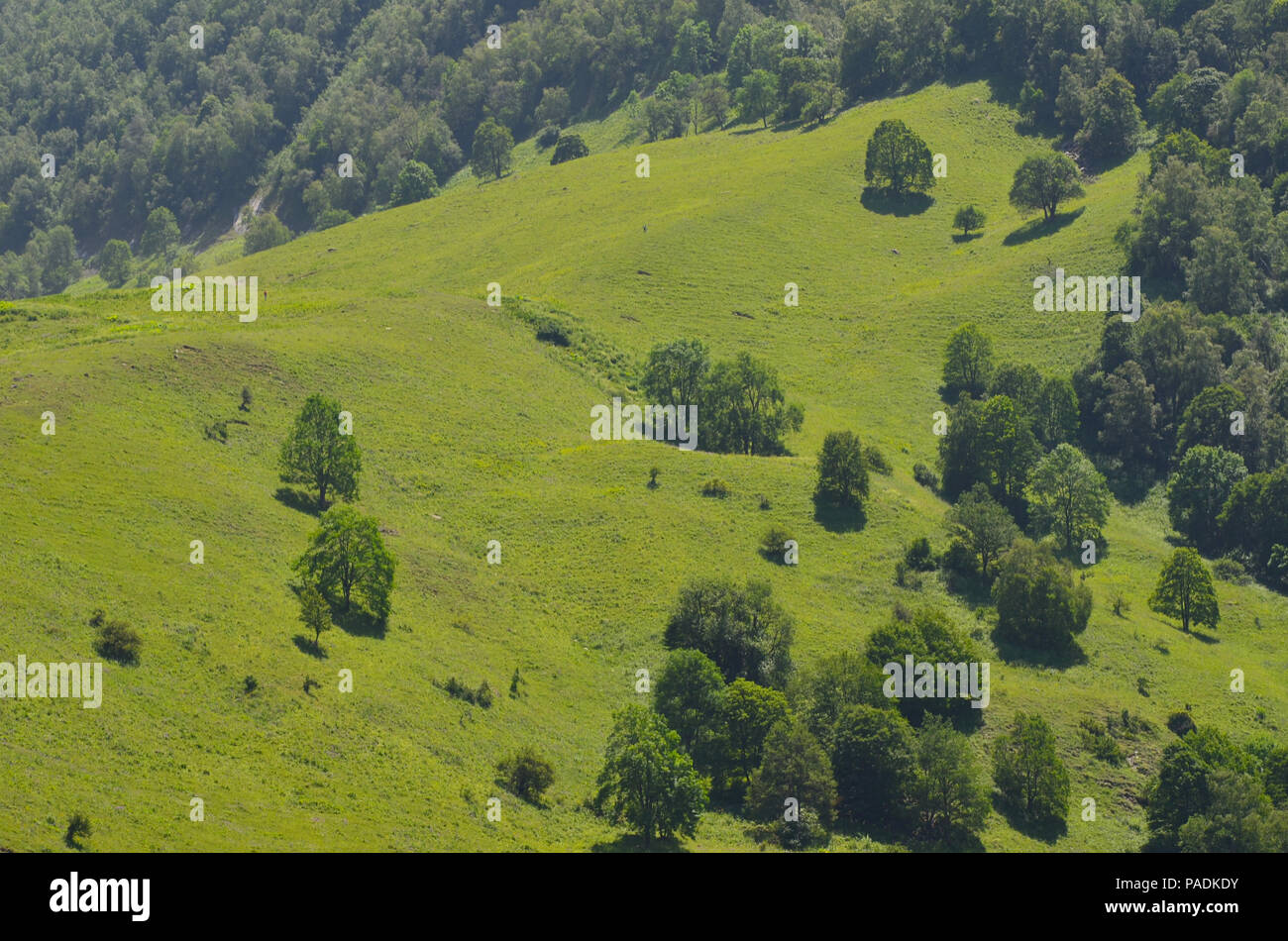 Mountains of the Greater Caucasus in Ilisu natural reserve, North-western Azerbaijan Stock Photo