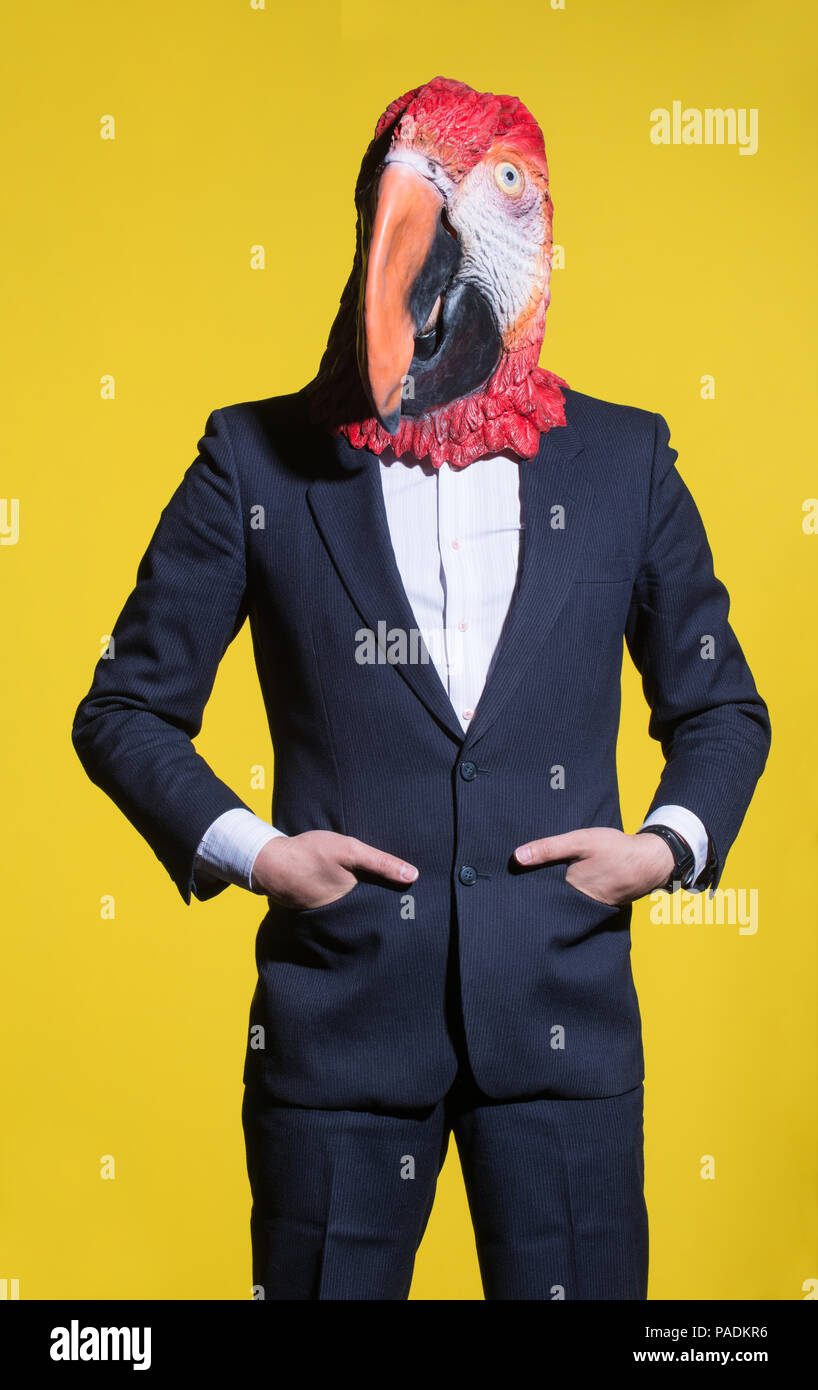 Download Bird Mask High Resolution Stock Photography And Images Alamy PSD Mockup Templates