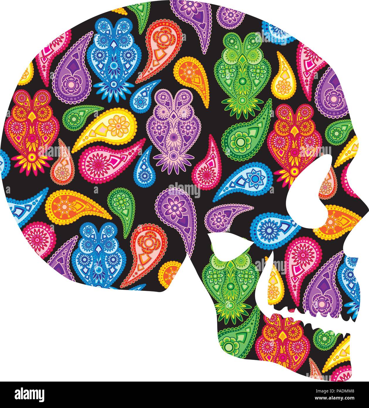 Human skull head silhouette with paisley floral owl colorful pattern illustration Stock Vector