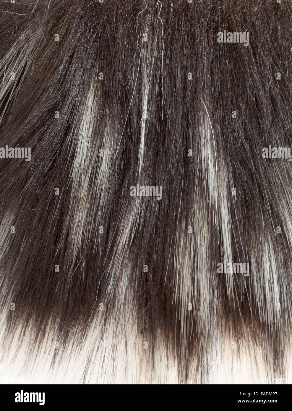 Fox fur texture hi-res stock photography and images - Alamy