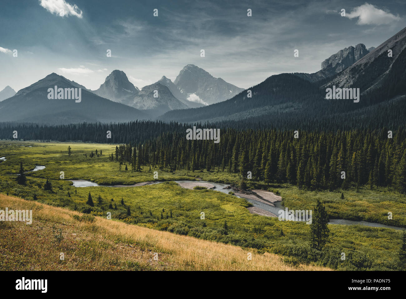 View towards mountains and lake with reflection and tree in Lower Kananaskis Lake of Peter