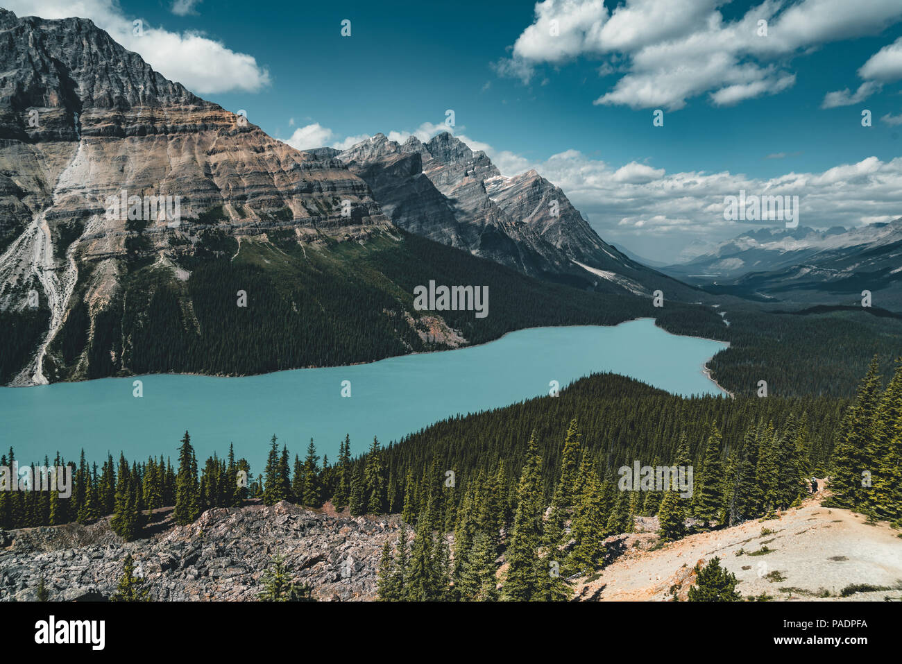 View over Peyto Lake, Banff National Park Canada Stock Photo - Alamy
