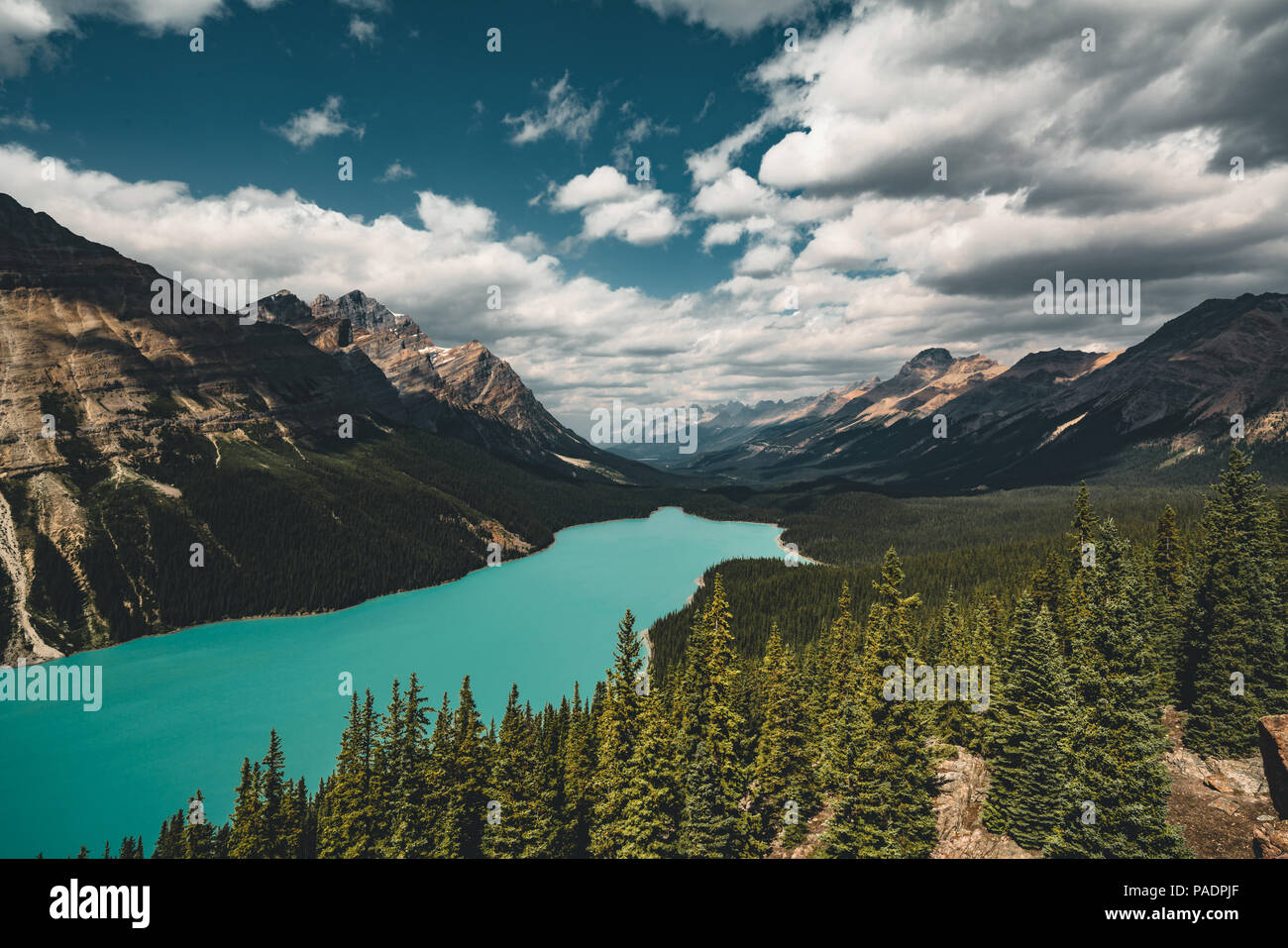 View over Peyto Lake, Banff National Park Canada Stock Photo - Alamy