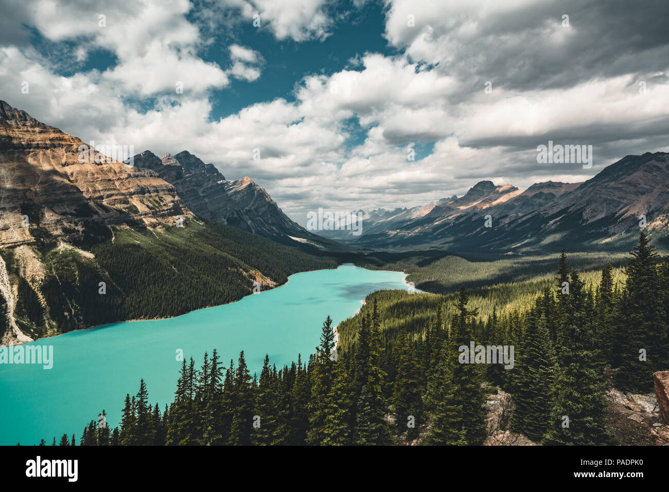 View over Peyto Lake, Banff National Park Canada Stock Photo - Alamy