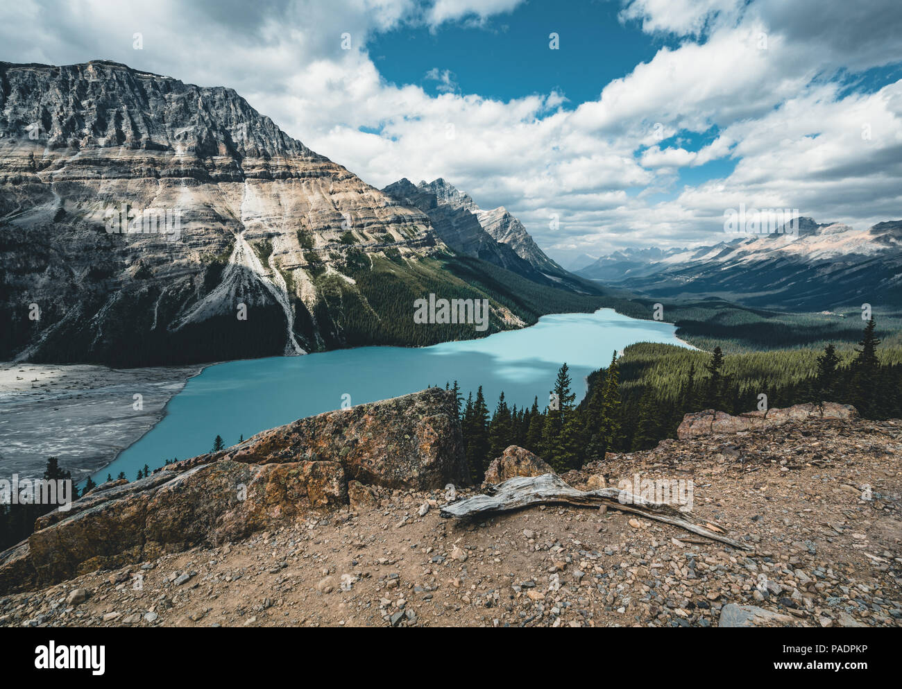 View over Peyto Lake, Banff National Park Canada Stock Photo - Alamy