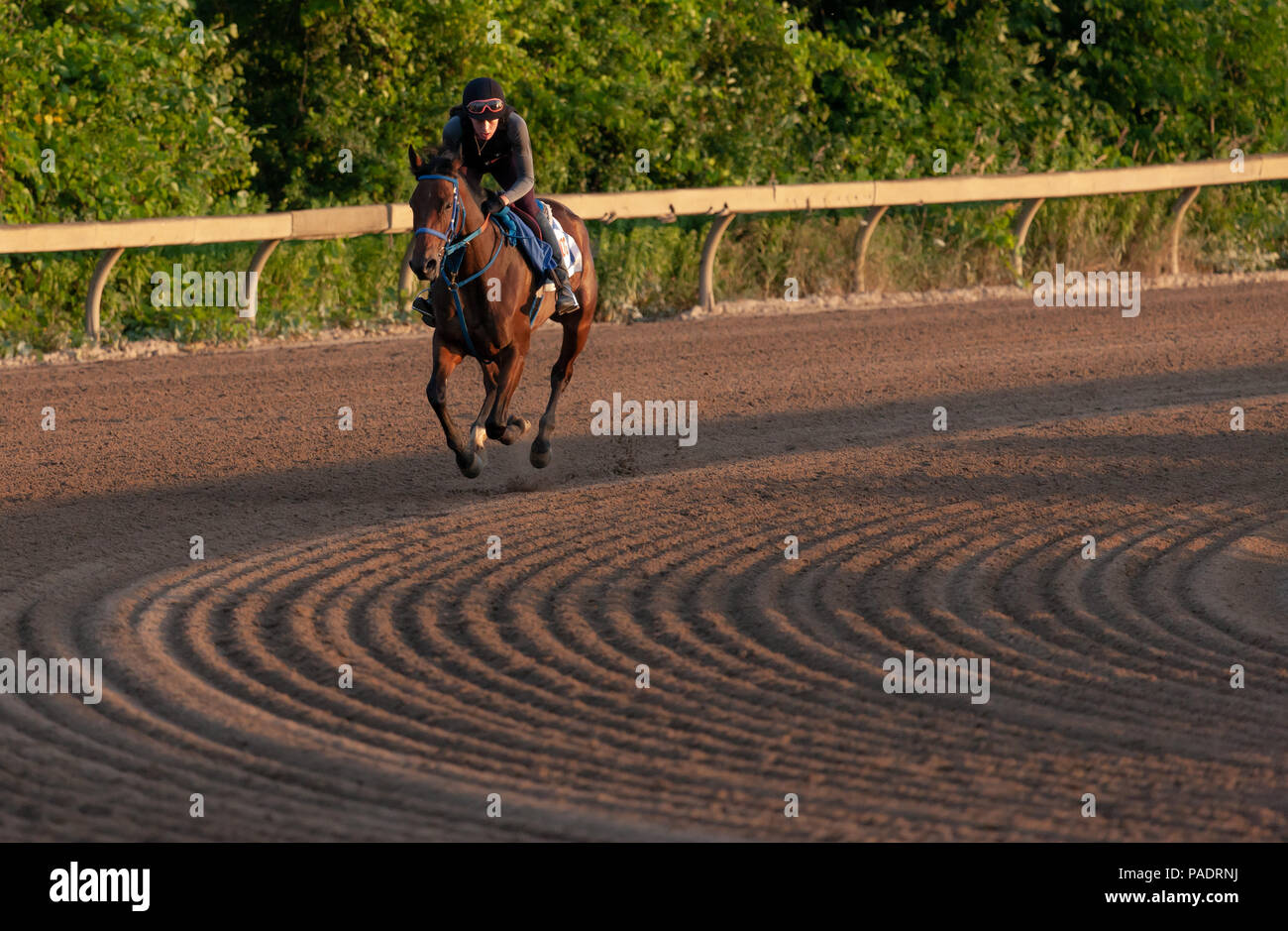 Race track stables hi-res stock photography and images - Alamy
