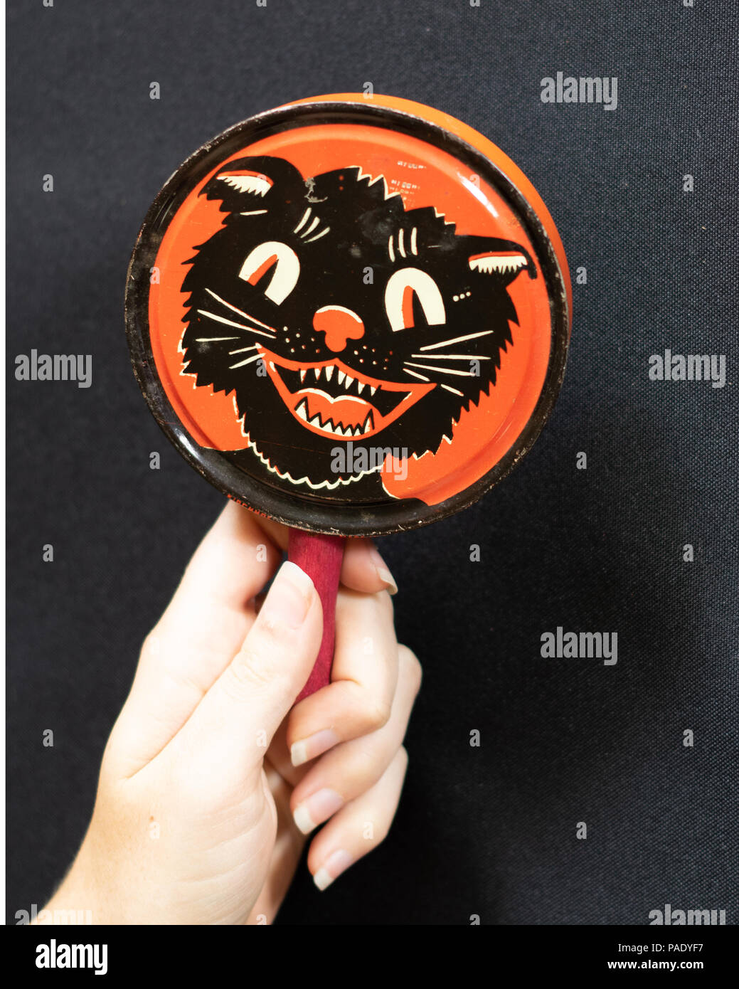 Cat toy noise online