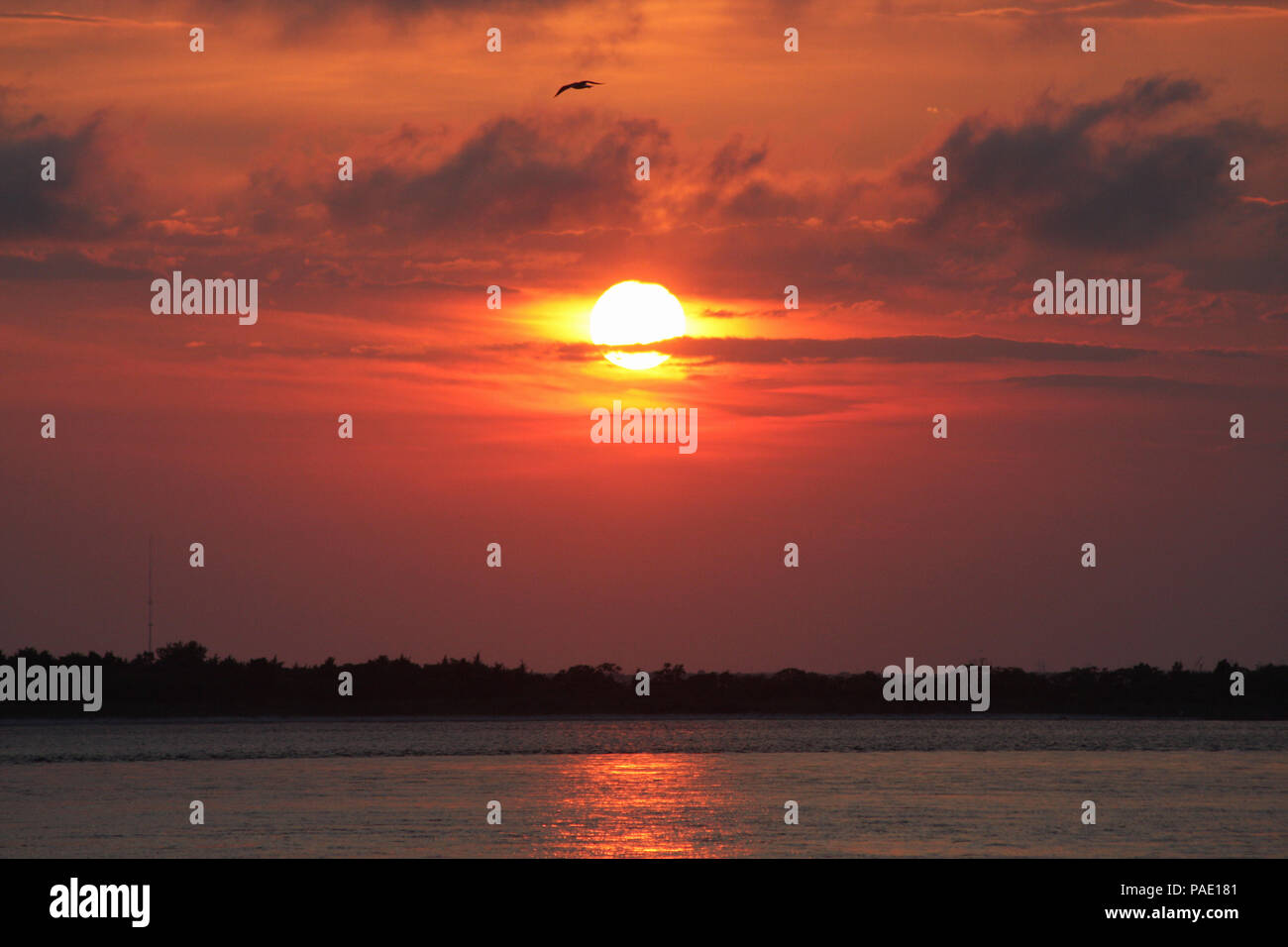 Barnegat light nj hires stock photography and images Alamy