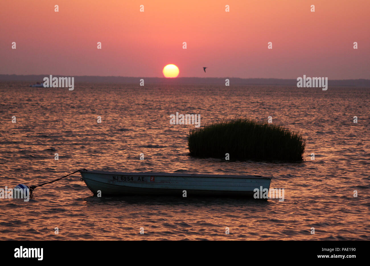 Anchored Boat in Barnegat Bay at Sunset, Long Beach Island (LBI), New Jersey (NJ) Stock Photo