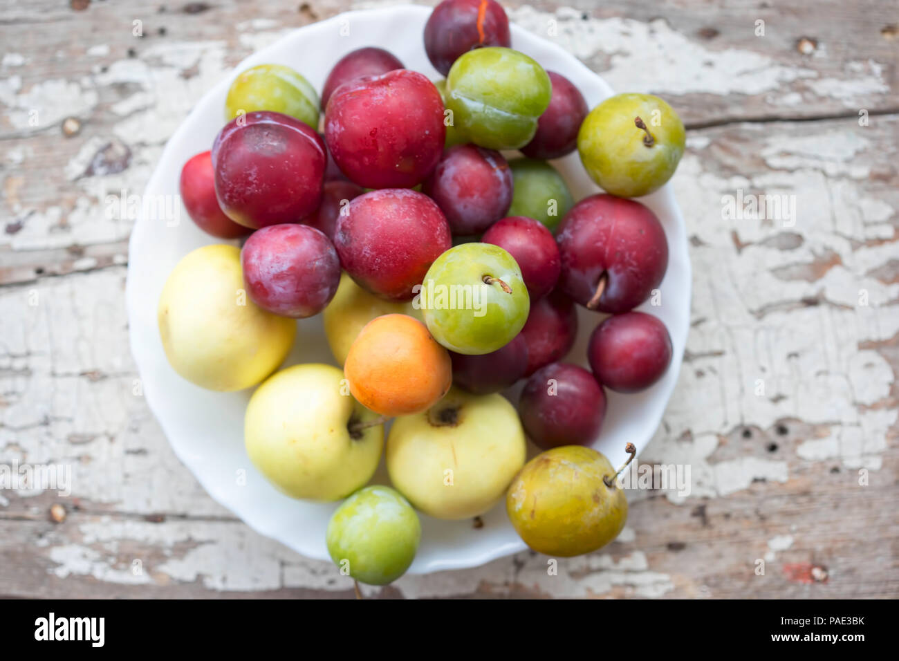 Apricots, early apples, mirabelle, green plums (ume) and plums. Summer