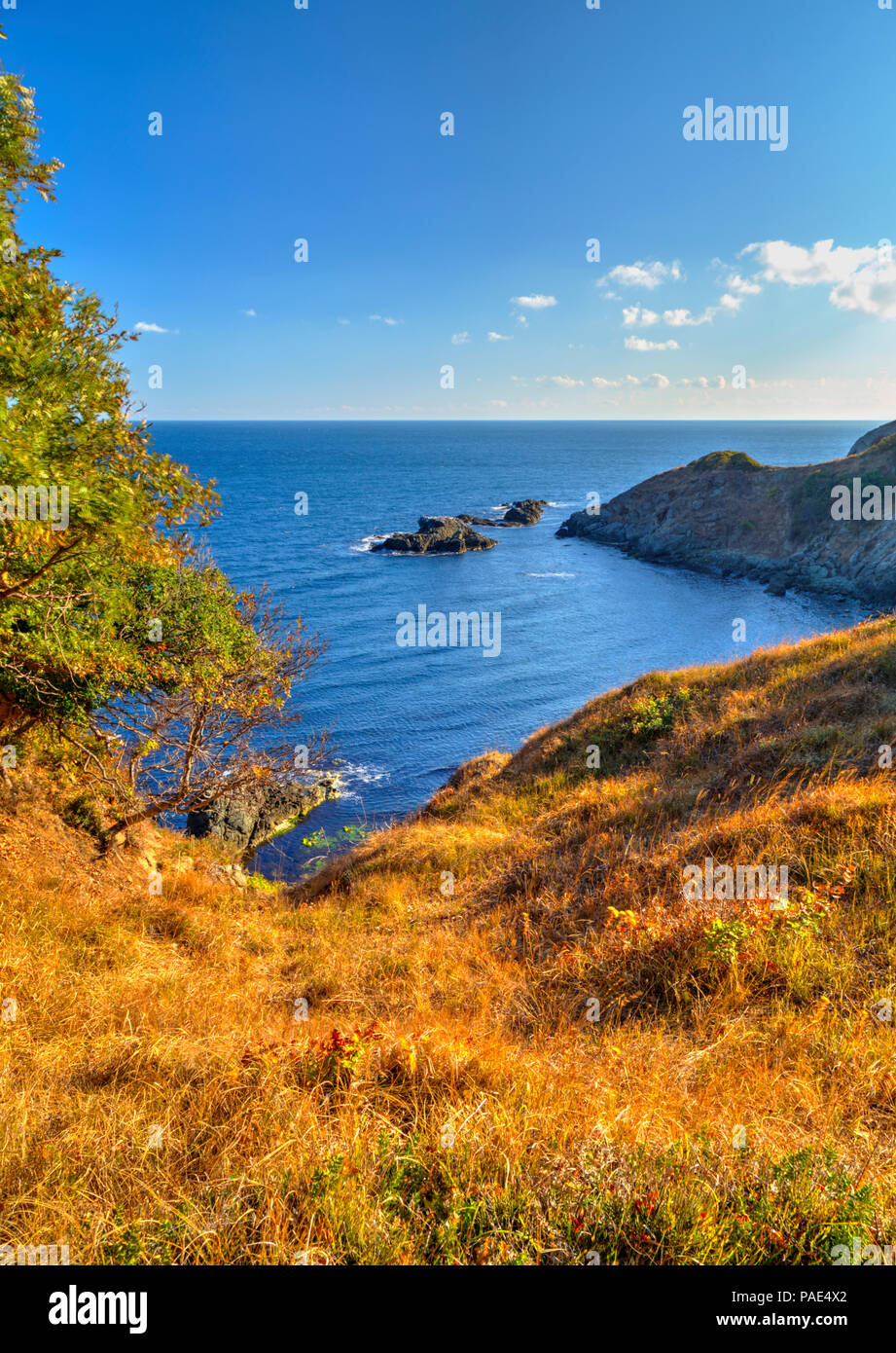 Beautiful landscape on rocky shore Stock Photo - Alamy
