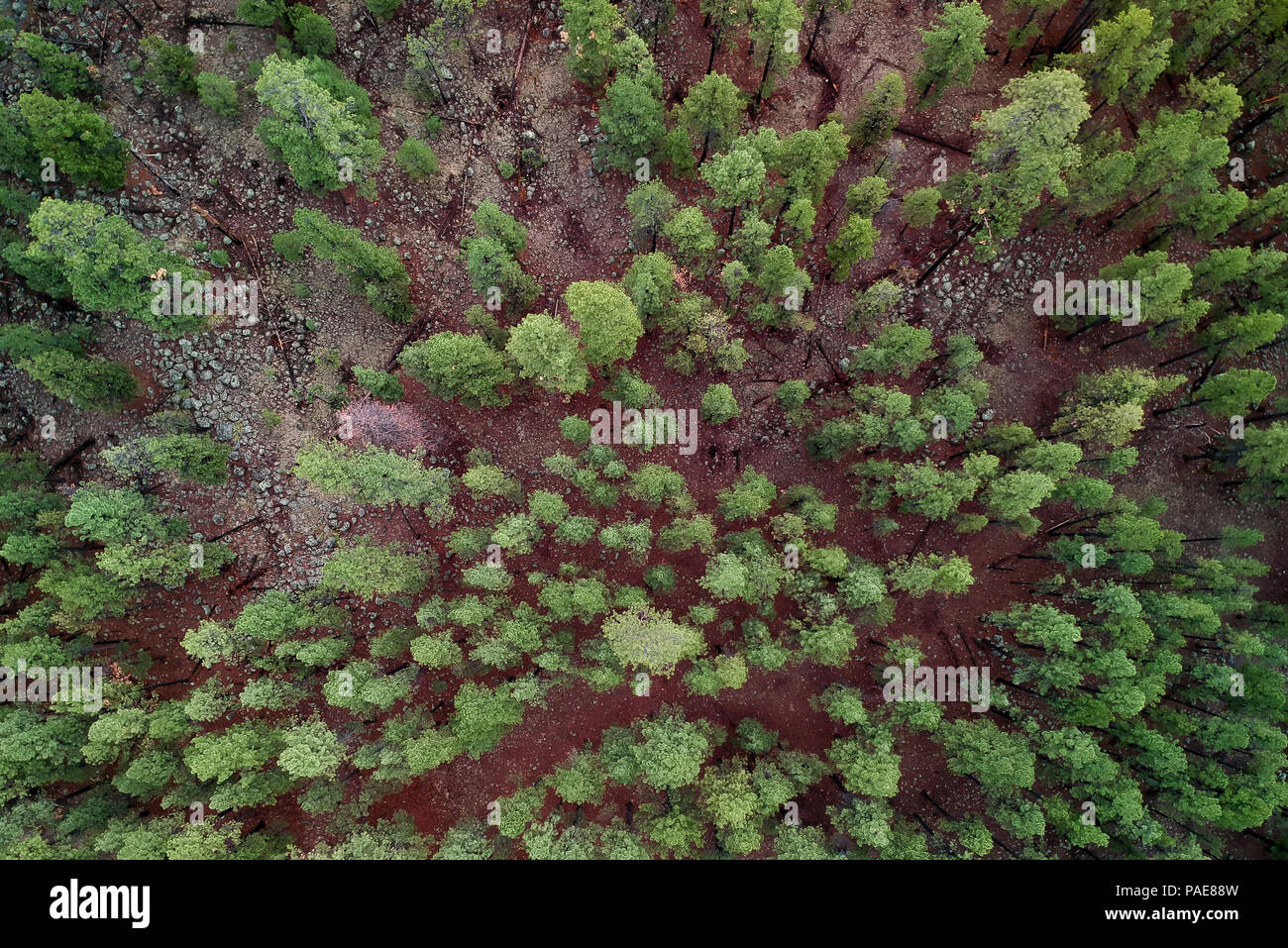 Flagstaff aerial hires stock photography and images Alamy
