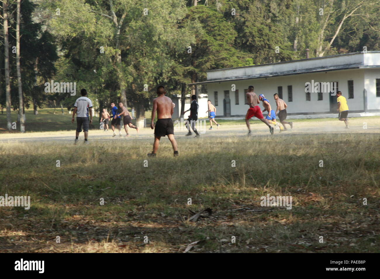 Tf redwolf hires stock photography and images Alamy