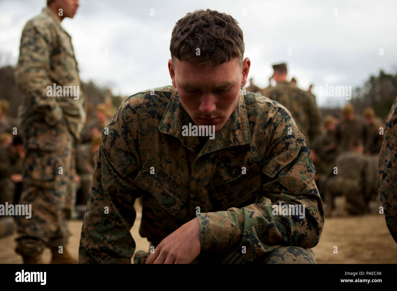 Dogs army australian military hi-res stock photography and images - Alamy