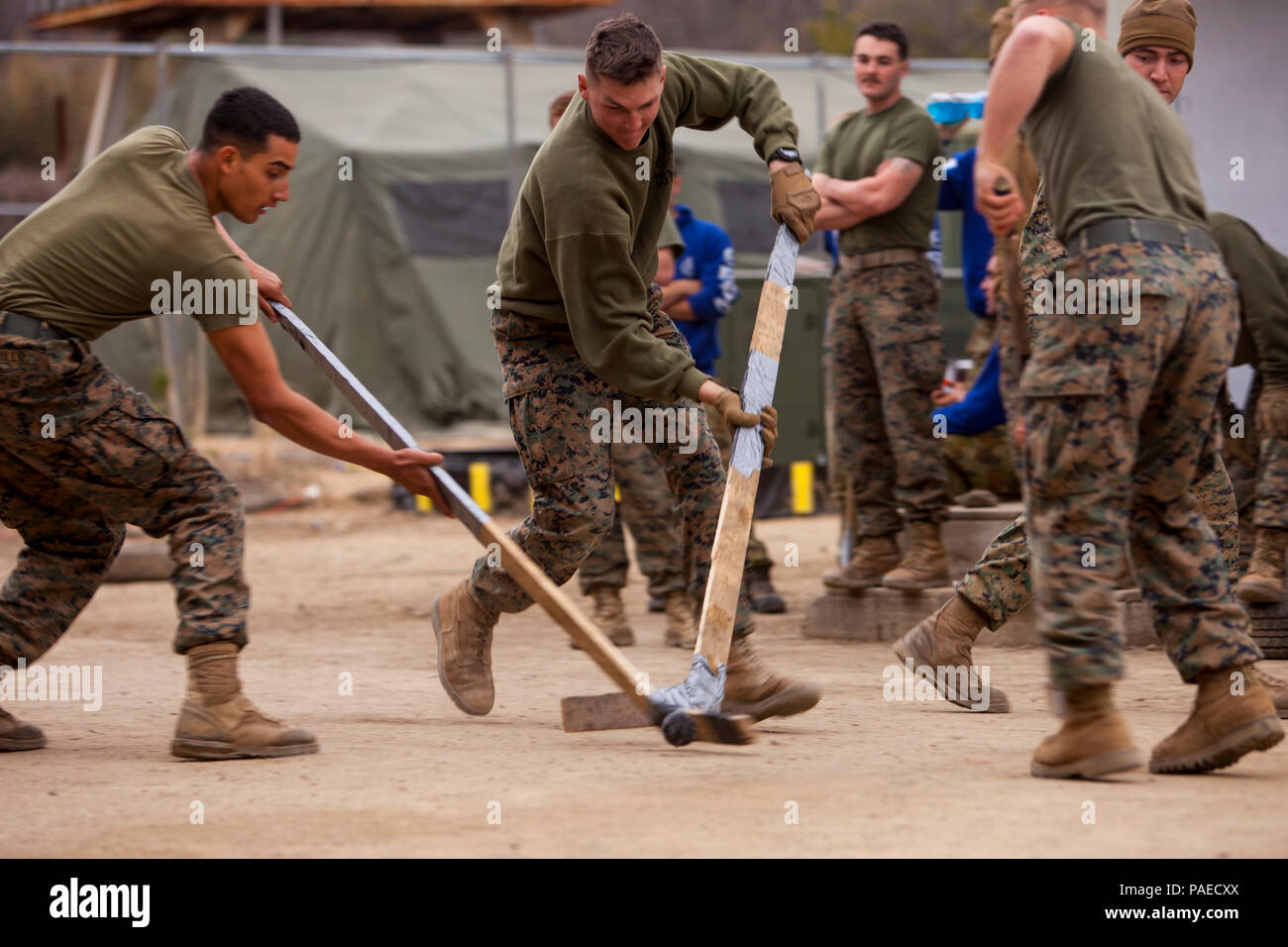 Dogs army australian military hi-res stock photography and images - Alamy