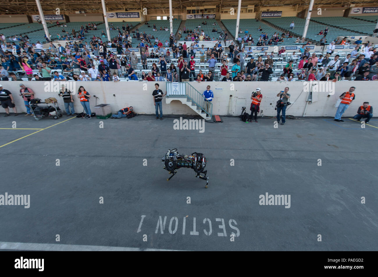 POMONA, California (June 5, 2015) The Massachusetts Institute of Technology (MIT) robotic cheetah entertains the crowd in between competition rounds during the Defense Advanced Research Projects Agency (DARPA) Robotics Challenge (DRC) June 6, 2015, at Fairplex in Pomona, Calif. MIT researchers have trained the robot to see and jump over hurdles as it runs — making this the first four-legged robot to run and jump over obstacles autonomously. Stock Photo