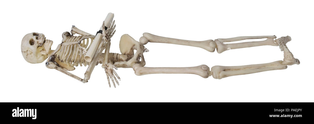 Skeleton Laying down holding Rolled up Document - possibly a map - path included Stock Photo