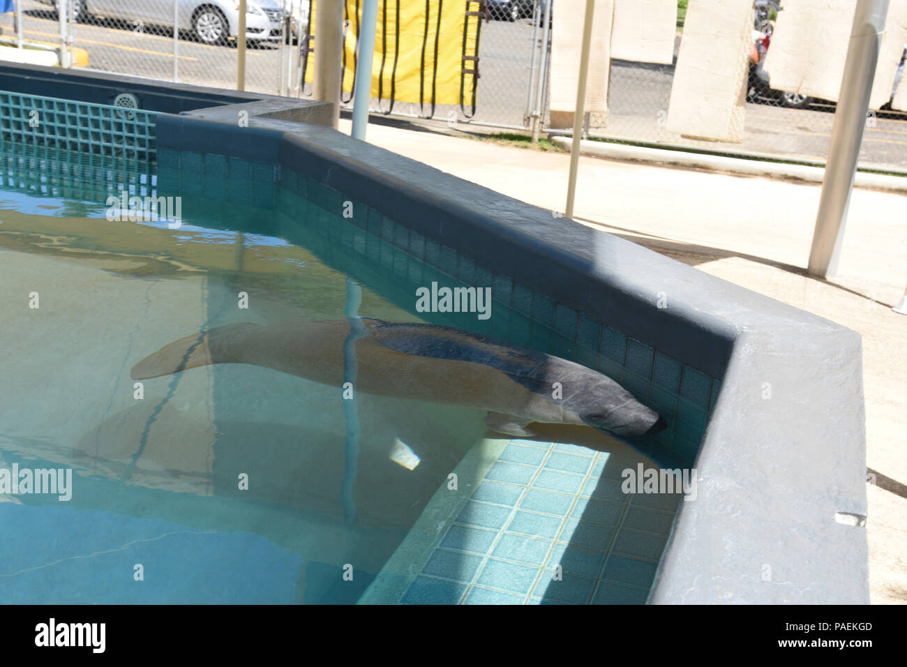 U.S. Air Force members of the 156th Airlift Wing, Muñiz Air National