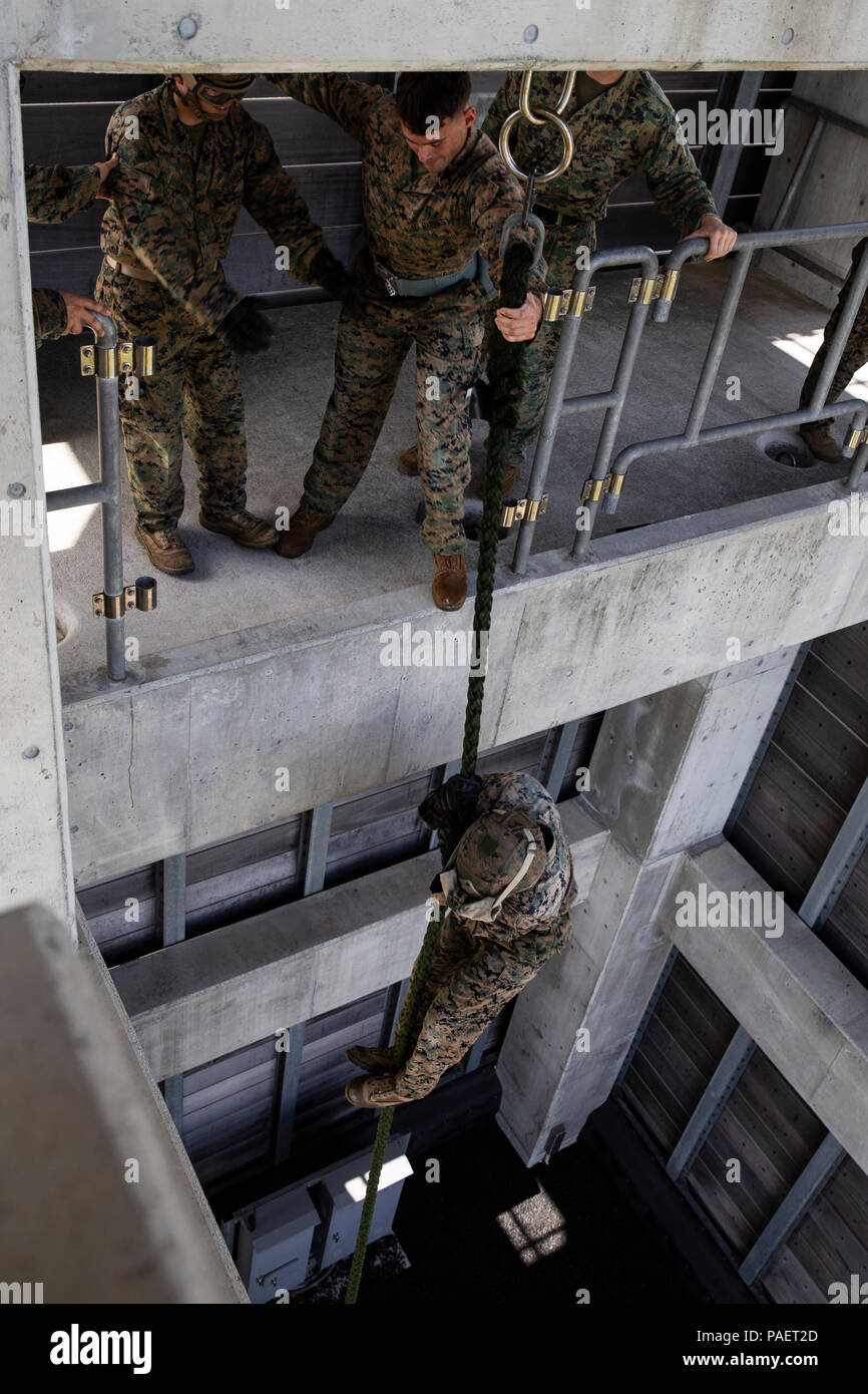 Marines with 5th Air Naval Gunfire Liaison Company, III Marine ...
