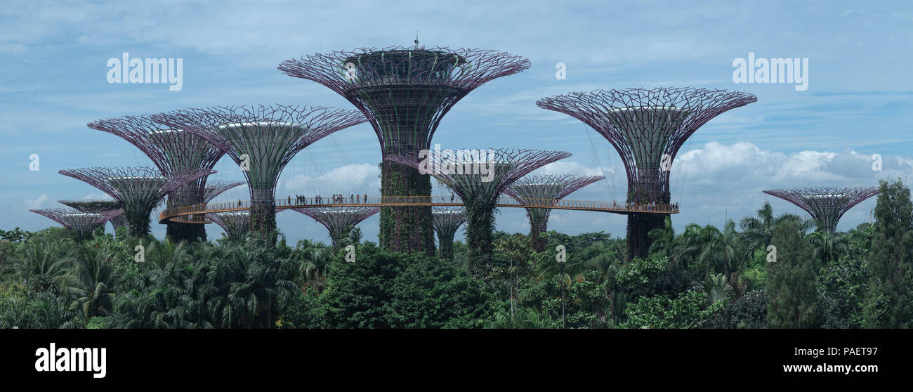 Singapore Supertree grove buildings panorama. Stock Photo