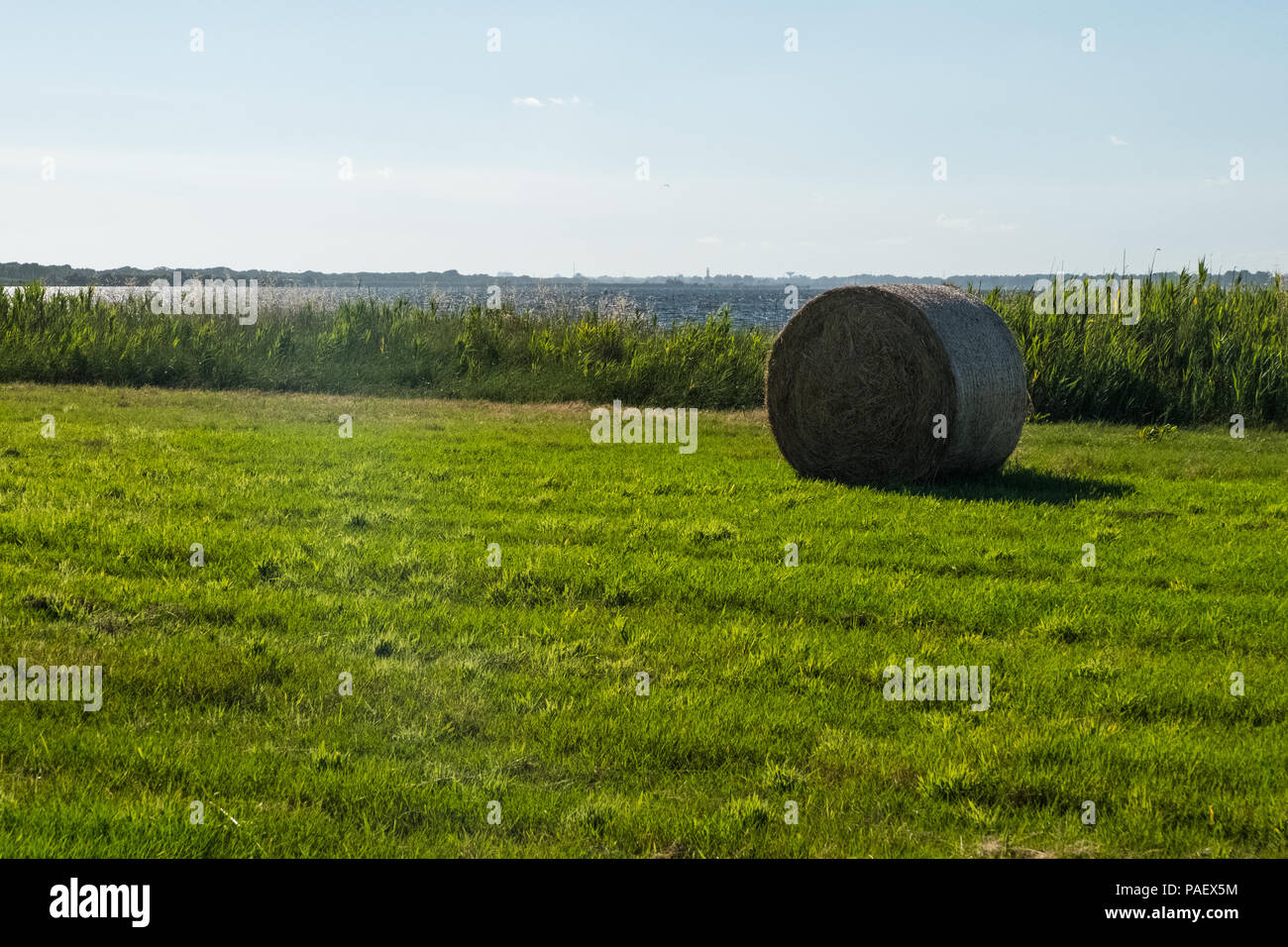 Lonely hay roll on a green filed with a lake on the background. Stock Photo