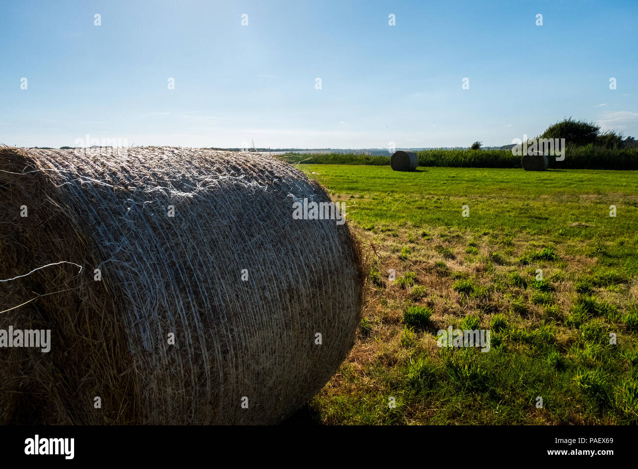 Close-up of a hay roll on a filed. Beautiful background image. Stock Photo