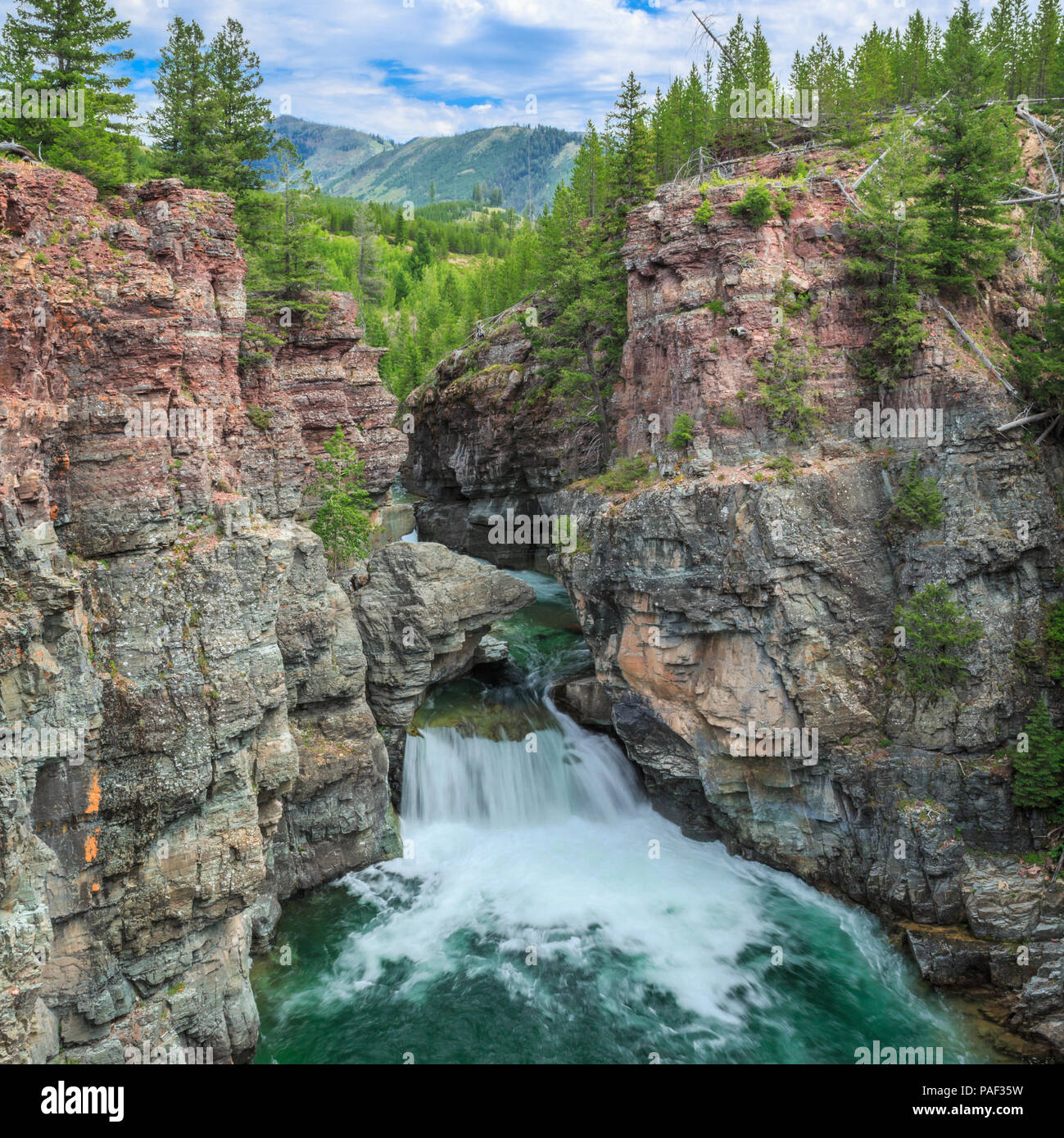 North fork blackfoot river Clearance