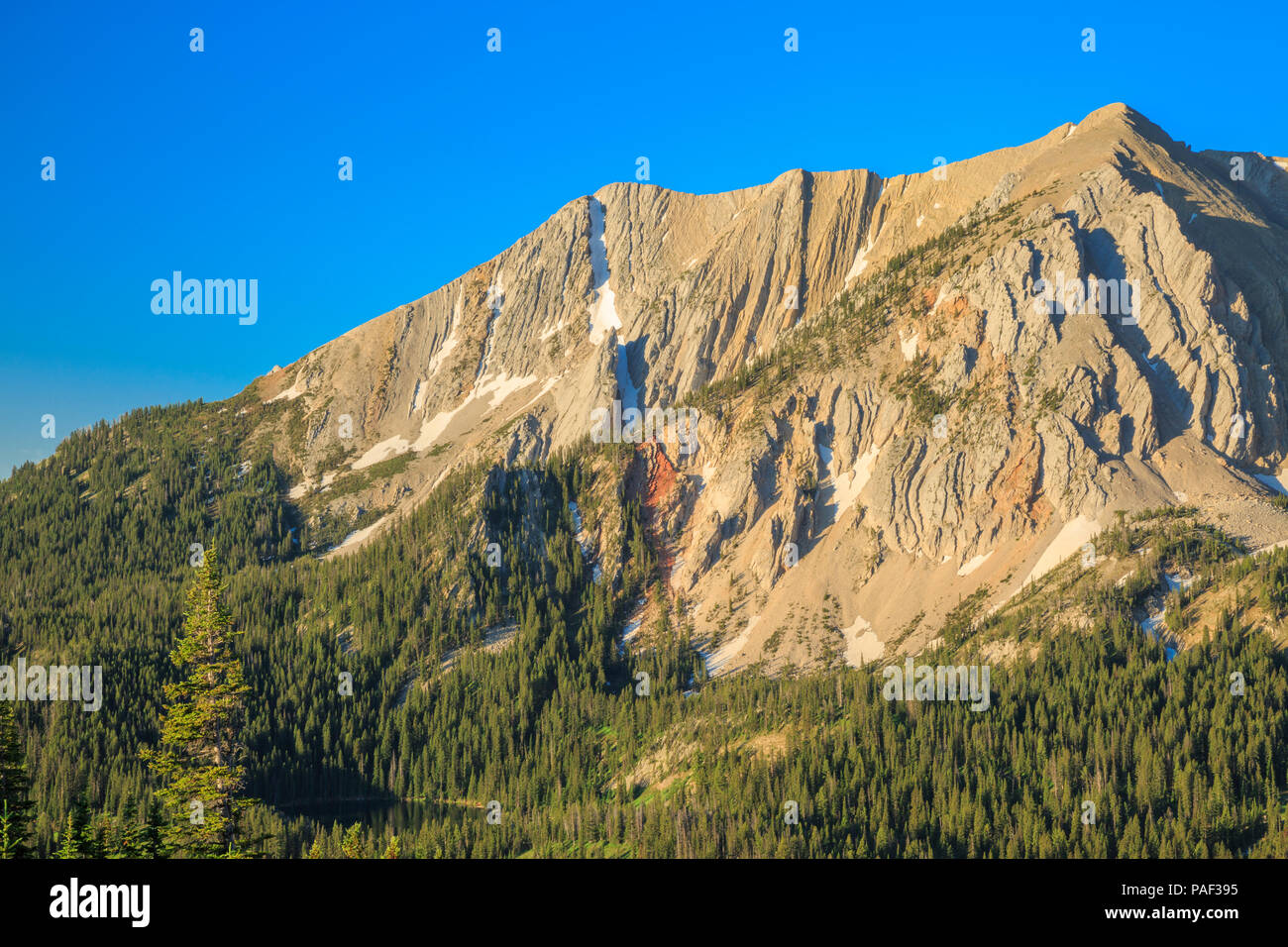 sacagawea peak in the bridger mountains above fairy lake near bozeman