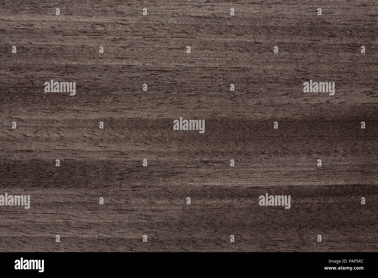 Clear-cut veneer texture in superior grey tone. Stock Photo