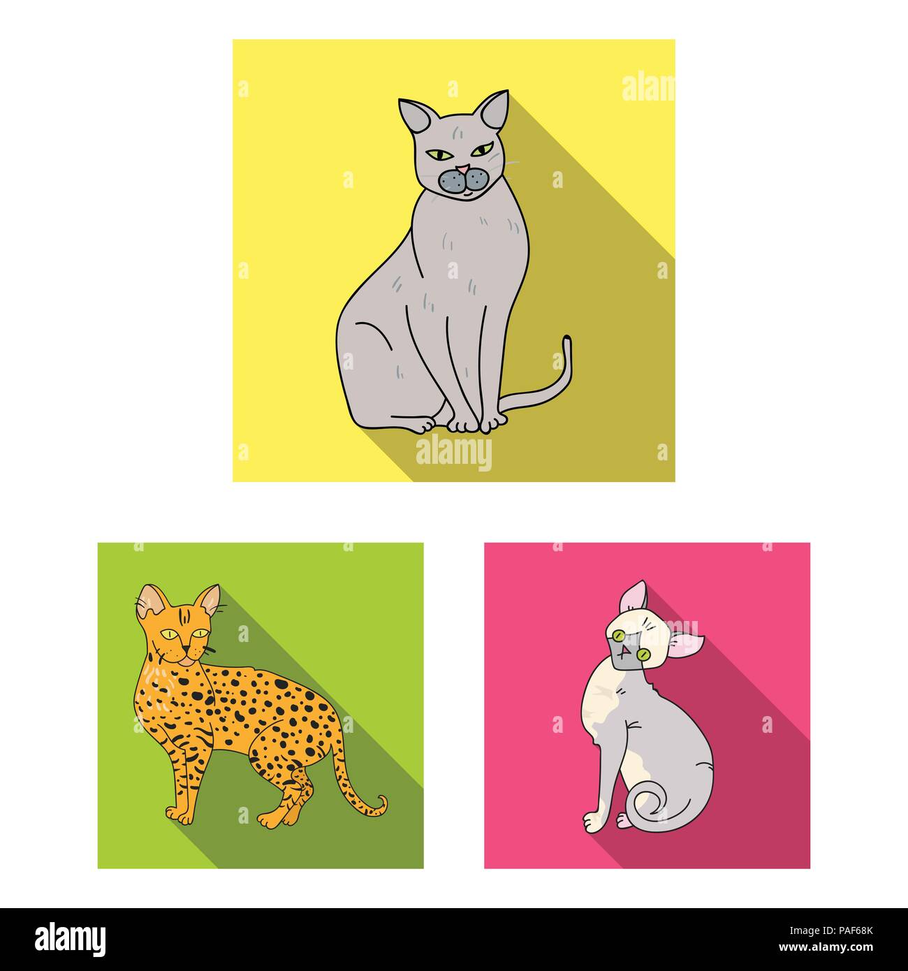 Cat icon set in flat style. vector illustration