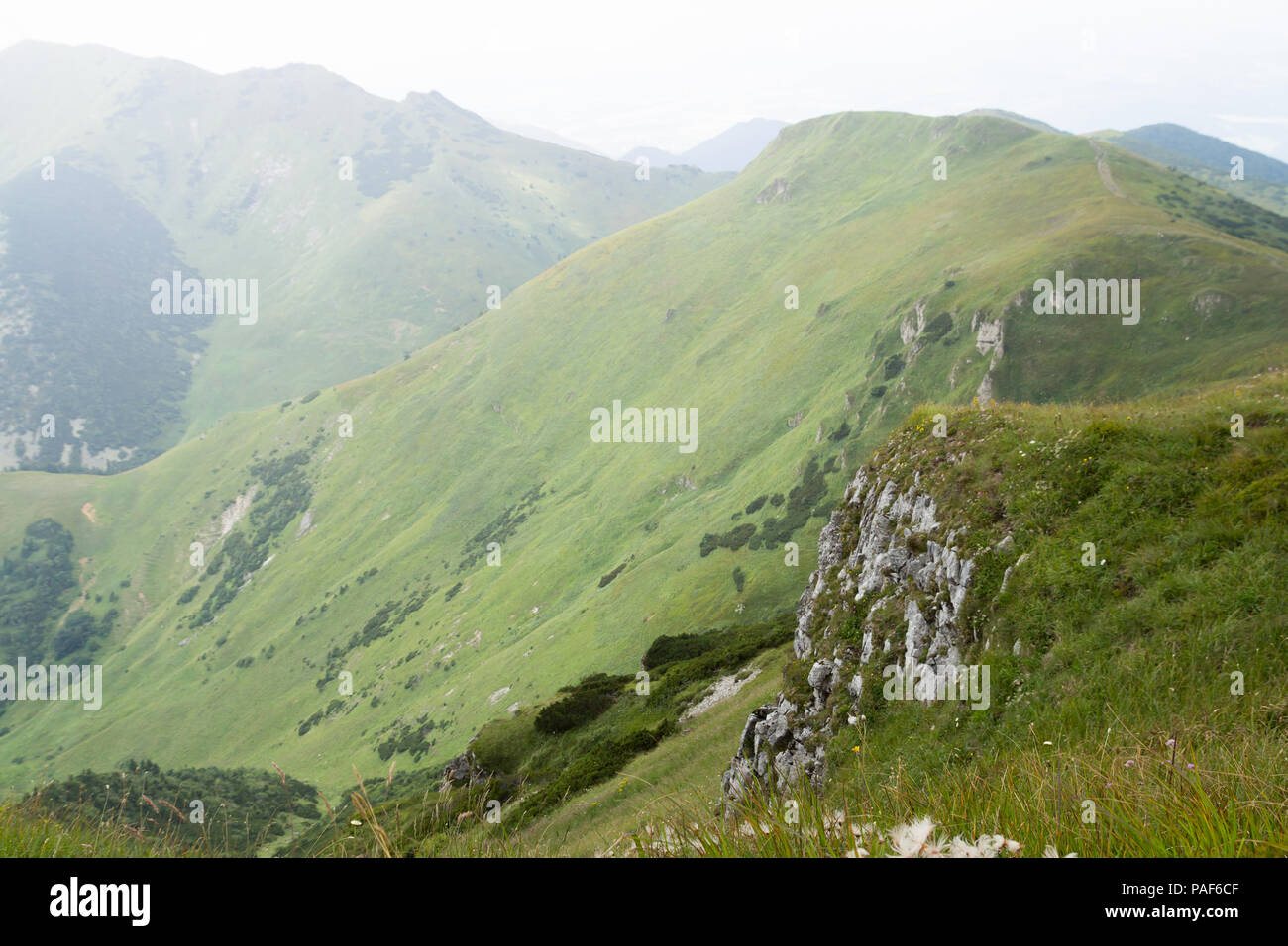 green scenic mountain range landscape Stock Photo