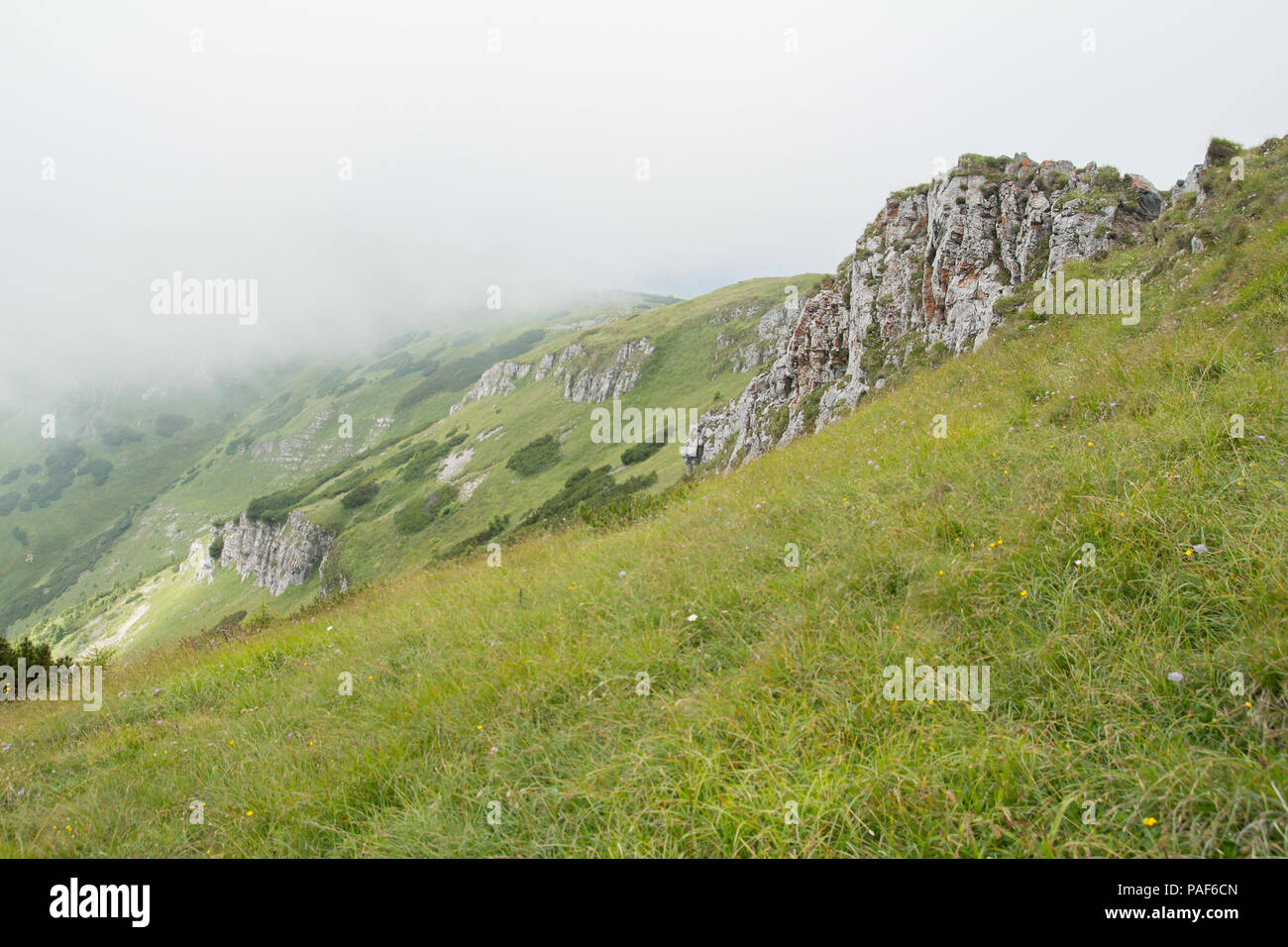 green scenic mountain range landscape Stock Photo