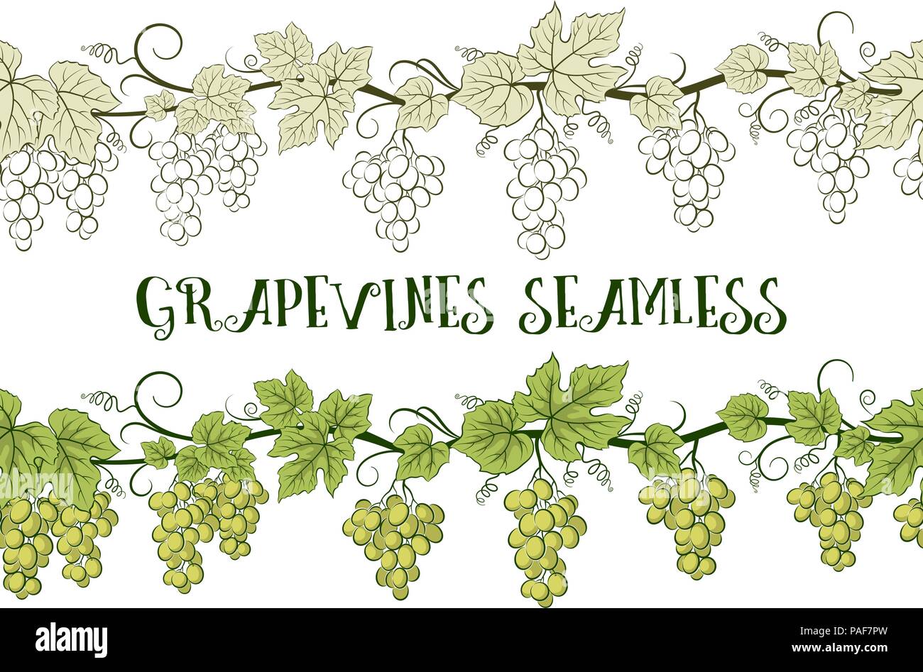 Grape vine Stock Vector Images - Alamy