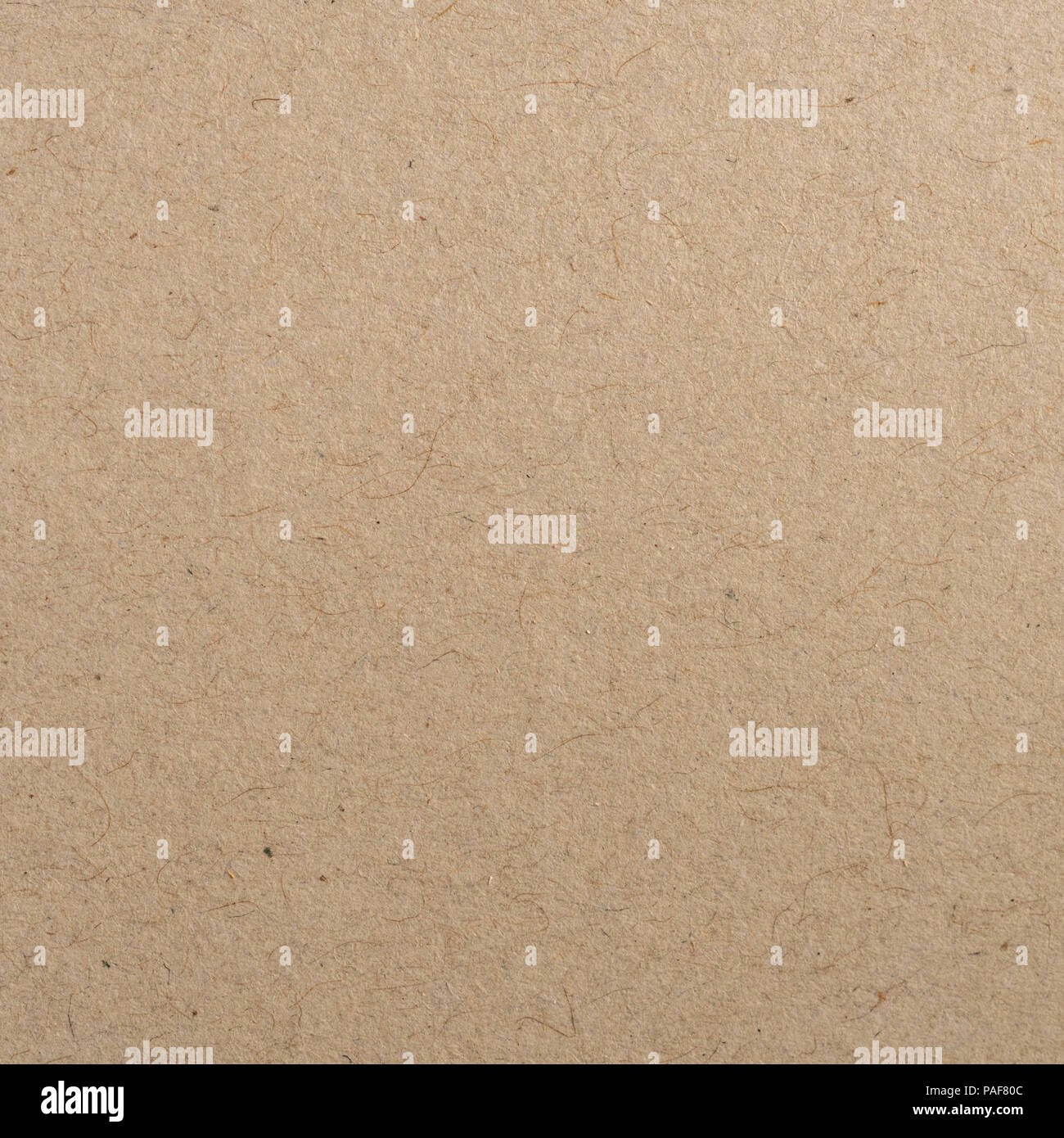 Kraft Paper (Speckletone, Text Weight) – French Paper