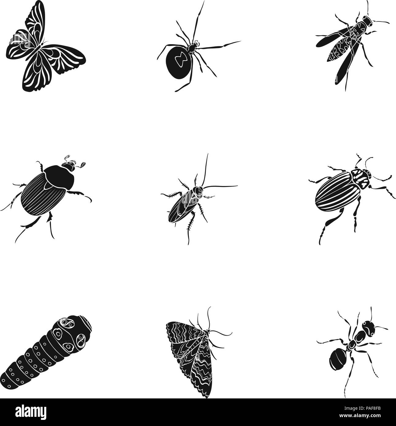 animal,ant,arthropod,bee,beetle,black,bloodsucker,butterfly,caterpillar ...