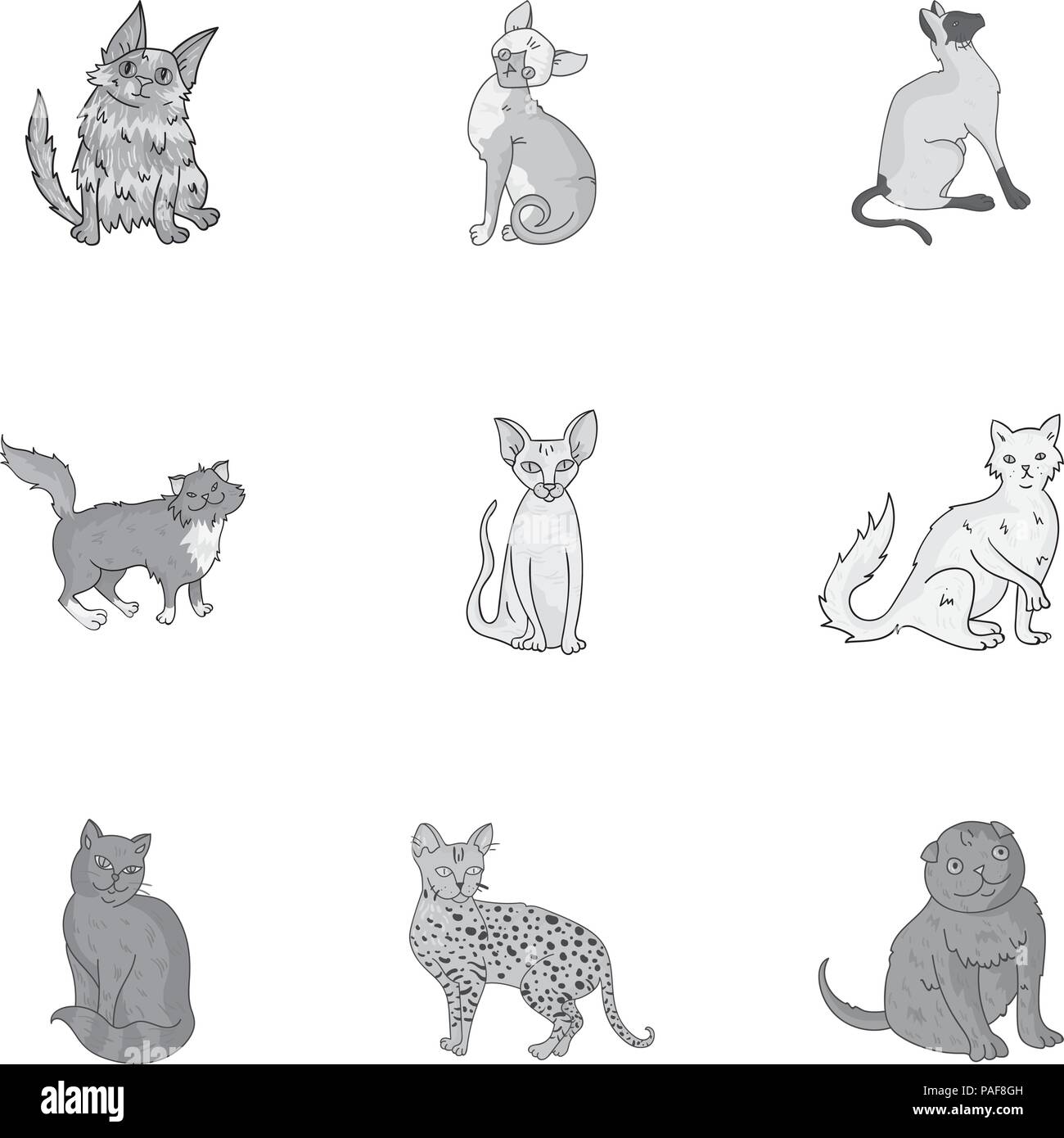 bald,cat,cats,chest,collection,curly,different,ears,egyptian,evil,fat,good,gray,icon,illustration,isolated,leopard,logo,monochrome,neck,object,one,picture,set,sign,sphinx,spotted,striped,symbol,tail,thin,vector,web,white, Vector Vectors , Stock Vector