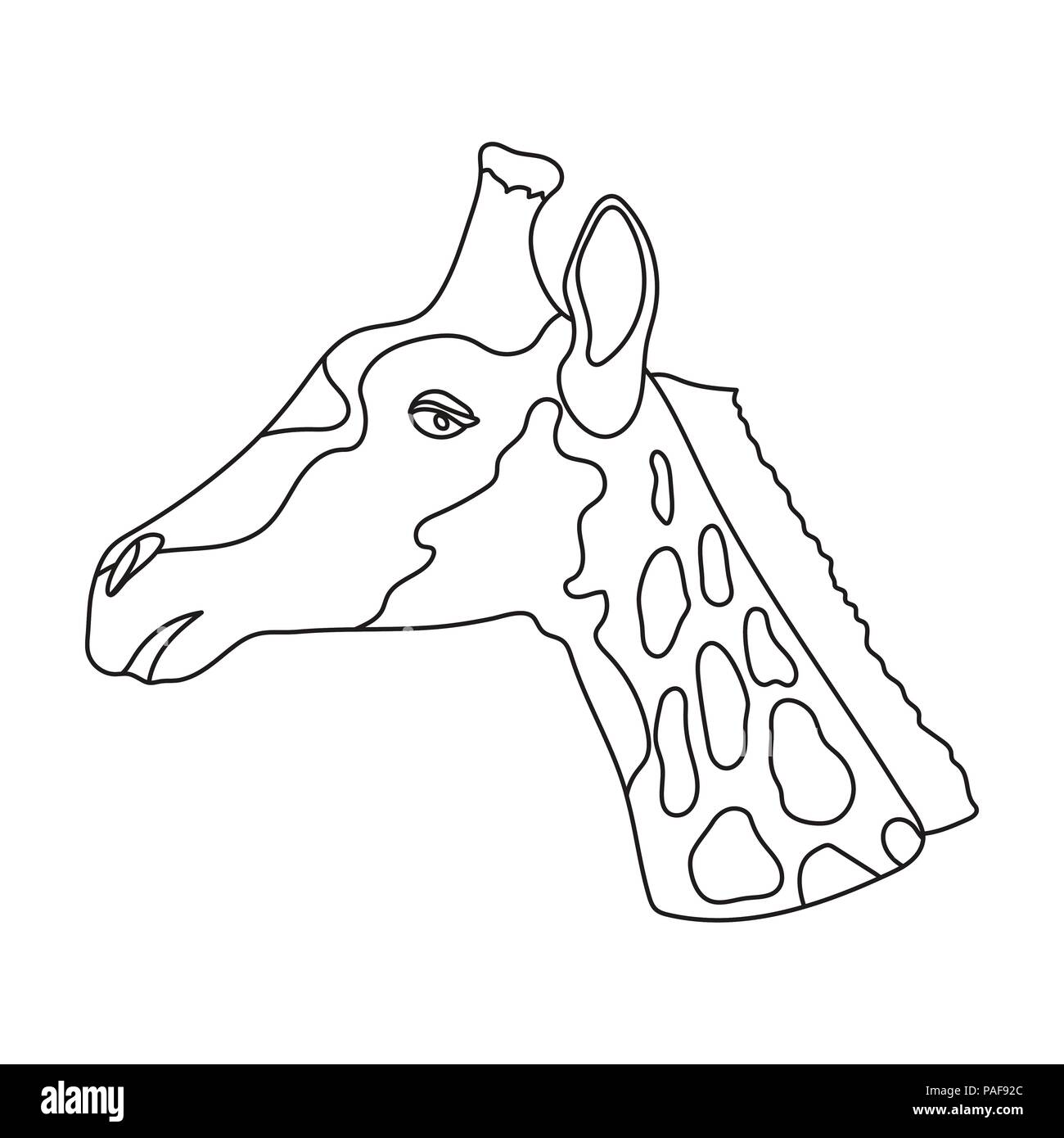 africa,african,animal,animals,art,background,brown,camouflage ,cute,decoration,design,drawing ,giraffe,graphics,icon,illustration,isolated,jungle,logo,mammal,nature,neck,outline,realistic,safari, sketch,spots,symbol,vector,web,white,wild,wildlife,yellow ...