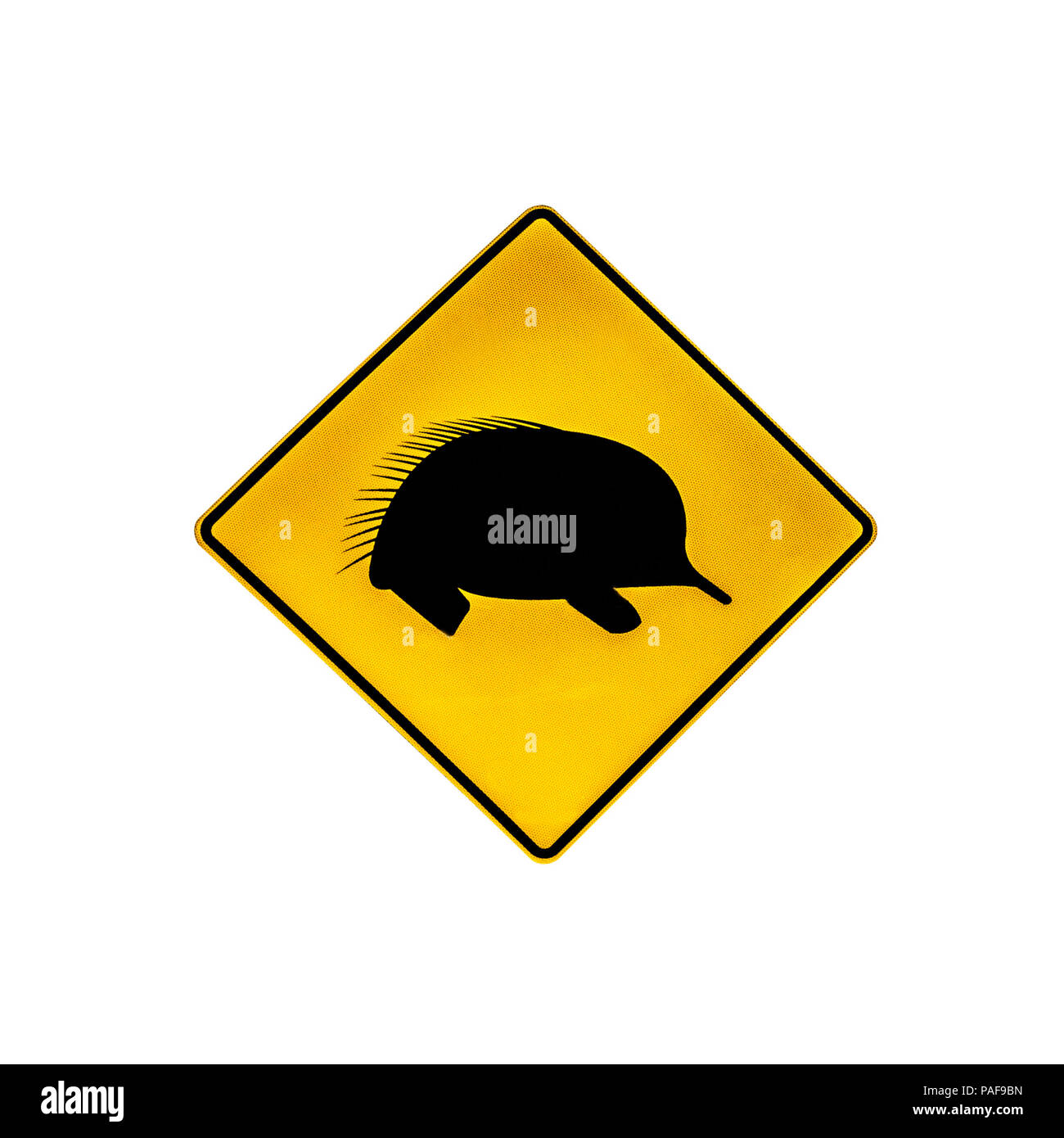 Australian warning road sign for echidnas wildlife crossing the road and highways of Australia. Isolated on white. Stock Photo