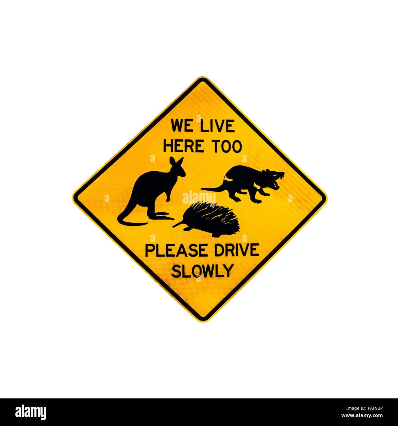 Tasmanian wildlife warning sign for tasmanian devil, kangaroo and echidna crossing the road in Tasmania. Isolated on white. Stock Photo