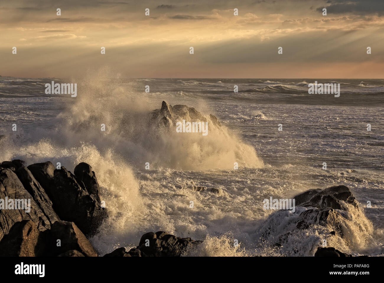 Seascape at sunset with stormy waves breaking over cliffs and rocks ...