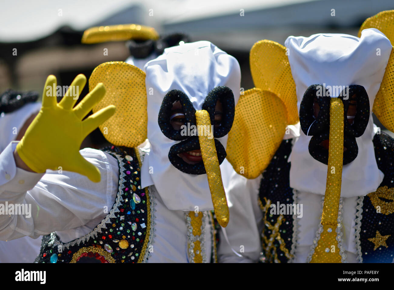 One of the most important and known character is the Marimonda, originated in Barranquilla, this character is represented by its own dance moves. The  Stock Photo