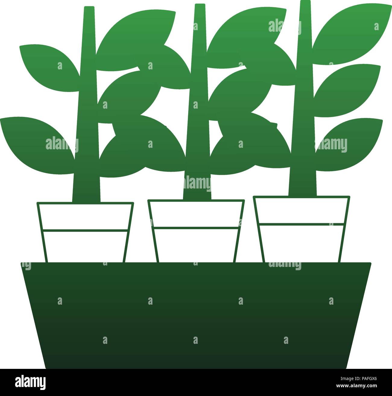 Plants in pots vector illustration graphic design Stock Vector Image ...