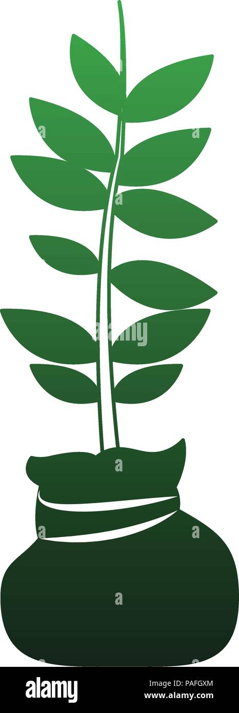 Plant in bag vector illustration graphic design Stock Vector Image ...