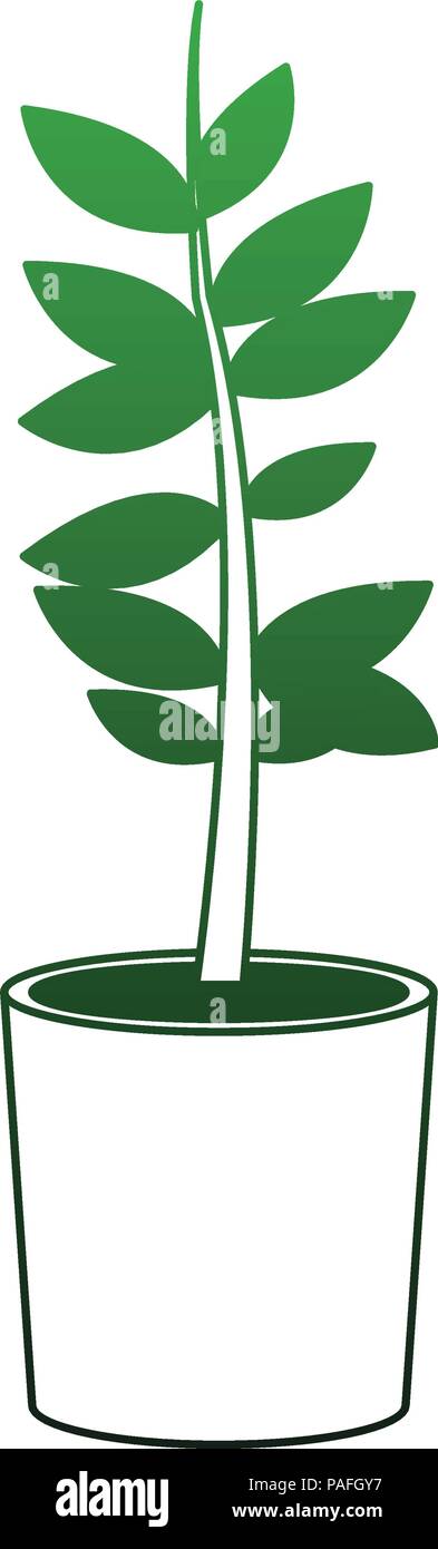 Plant in pot vector illustration graphic design Stock Vector Image ...