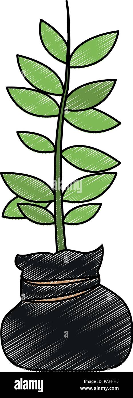 Plant in bag vector illustration graphic design Stock Vector Image ...