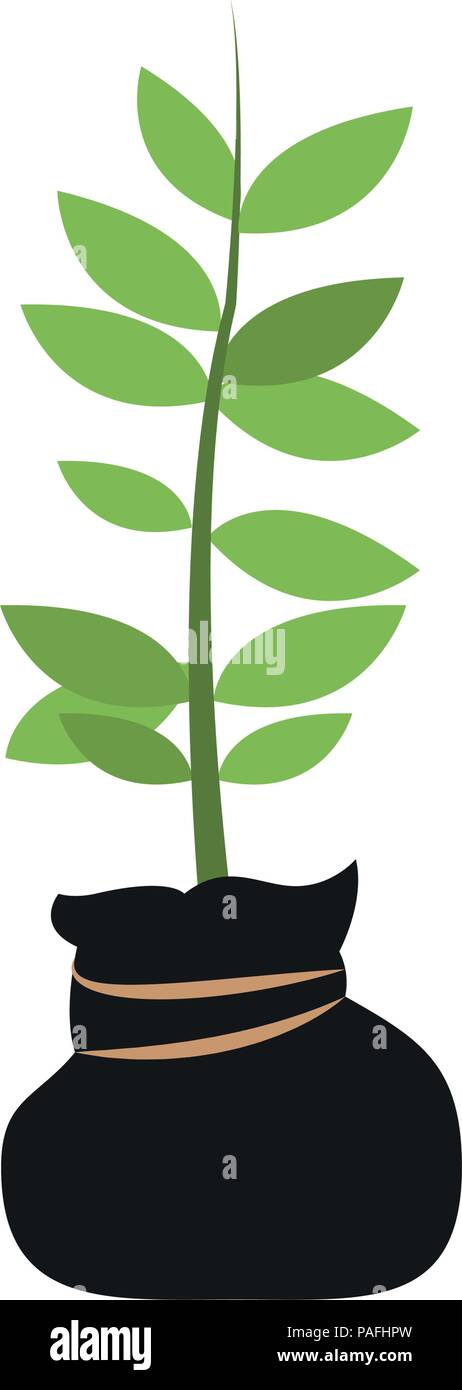 Plant in bag Stock Vector Image & Art - Alamy
